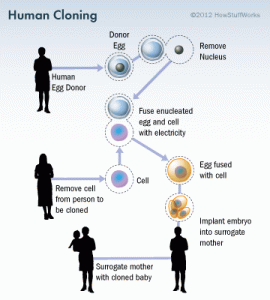 human-cloning-illustration
